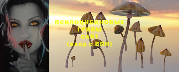 крисы Нефтегорск