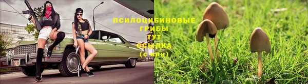 2c-b Новозыбков