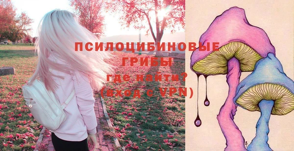 дмт Пересвет